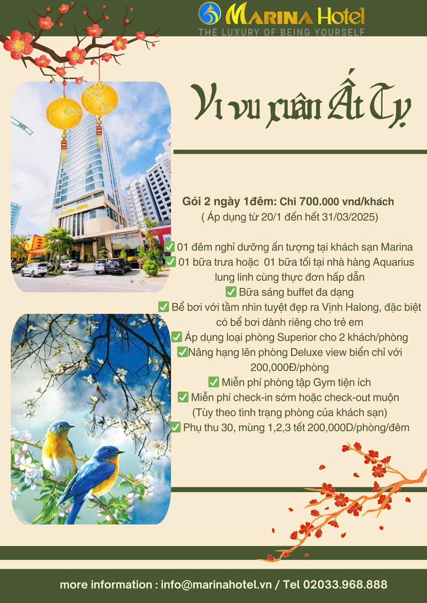 COMBO VI VU XUÂN ẤT TỴ