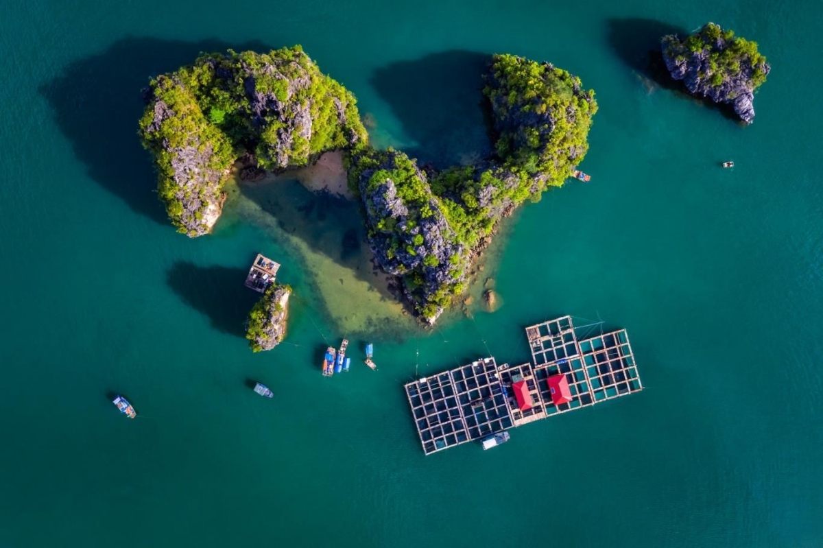 Cả ngàn trải nghiệm siêu hot, hè này nhất định phải đi Quảng Ninh